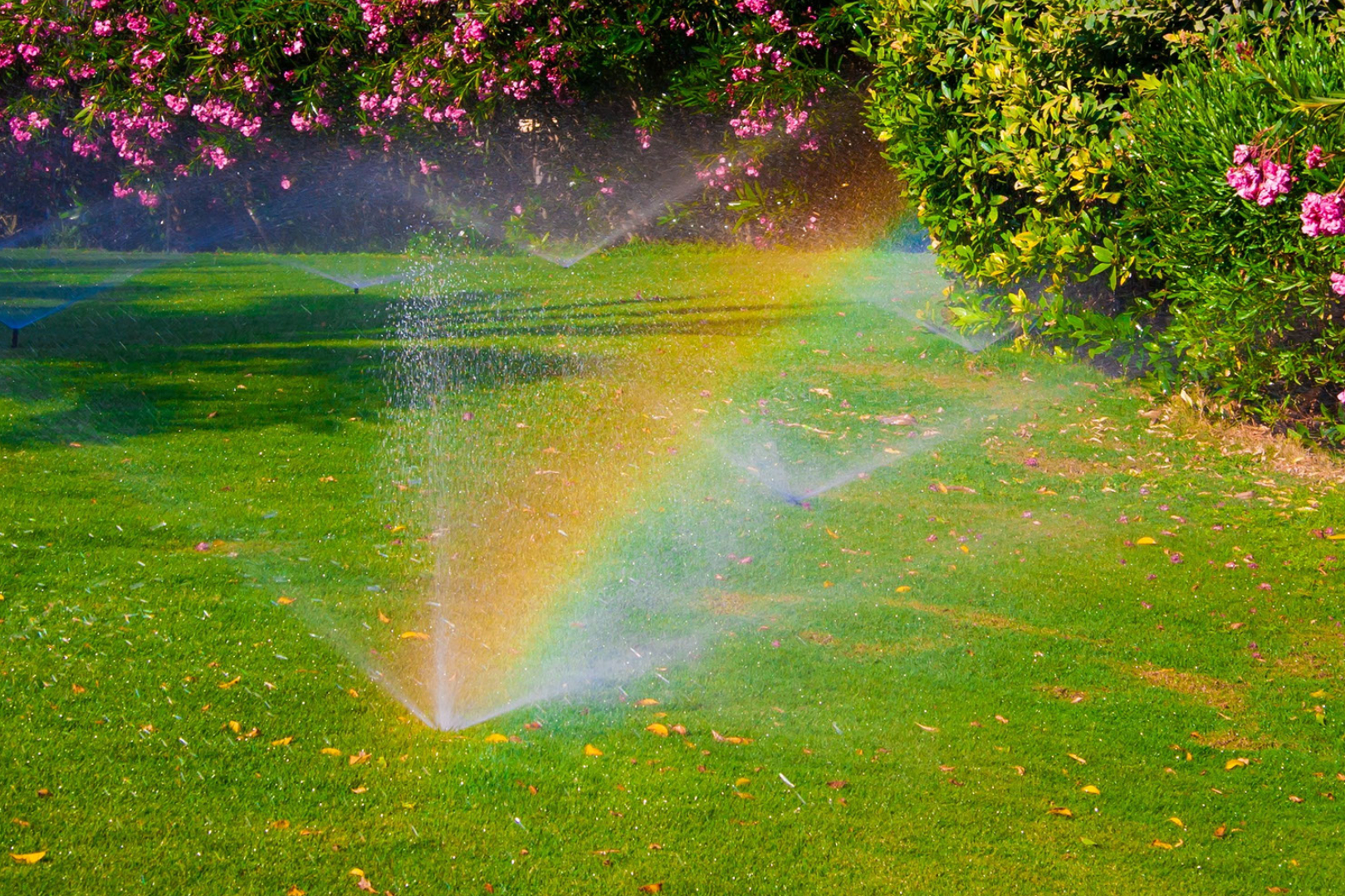 Landon Lawn Denver Sprinkler Experts